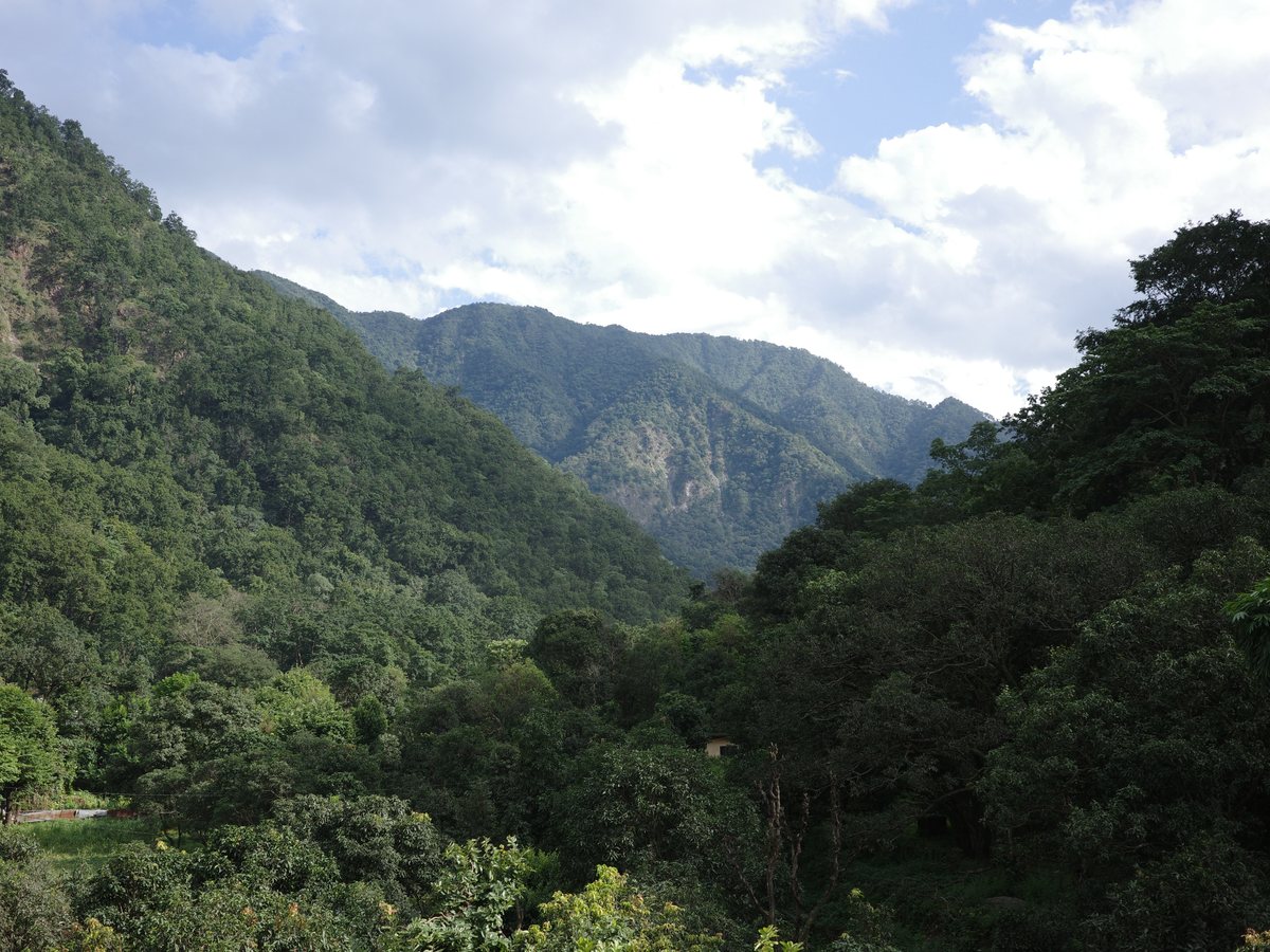 Natural setting
